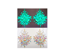 Load image into Gallery viewer, Reusable GLOW In Dark Pasties and Face Stickers w/ Body Glue for Reapplication